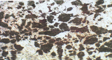 Lab Image 9