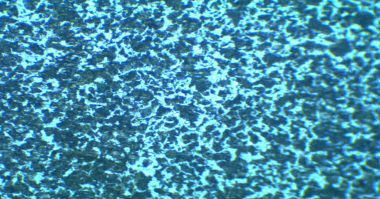Lab Image 11
